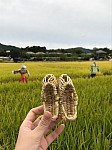 20160868 SuzySim.jpg 20160868 SuzySim.jpg